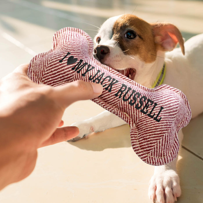 Squeaky Bone Dog Toy LUCY