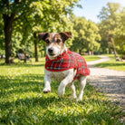 Classic Scottish Tartan Dog Coat in Royal Stewart - Heritage Of Scotland - Medium