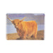 Eva Gel Magnet - Highland Cow - Heritage Of Scotland - NA