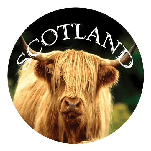 Glass - Look Pebble Scotland Magnet – Piper, Coo, Thistle, or Westie (5cm) - Heritage Of Scotland - Highland Coo