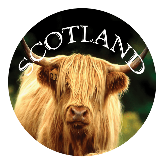 Glass - Look Pebble Scotland Magnet – Piper, Coo, Thistle, or Westie (5cm) - Heritage Of Scotland - Highland Coo