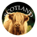 Glass - Look Pebble Scotland Magnet – Piper, Coo, Thistle, or Westie (5cm) - Heritage Of Scotland - Highland Coo