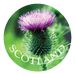 Glass - Look Pebble Scotland Magnet – Piper, Coo, Thistle, or Westie (5cm) - Heritage Of Scotland - Thistle