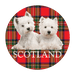 Glass - Look Pebble Scotland Magnet – Piper, Coo, Thistle, or Westie (5cm) - Heritage Of Scotland - Westie Dogs