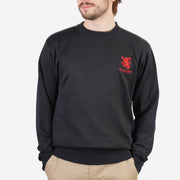 Men's Ballantrae Lion Jumper Navy - Heritage Of Scotland - NAVY
