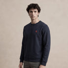 Men's Ballantrae Lion Jumper - Navy - Heritage Of Scotland - S