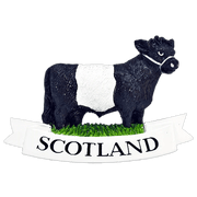 Scottish Polyresin Fridge Magnets – Fun Souvenirs with Iconic Designs - Heritage Of Scotland - Belted Galloway