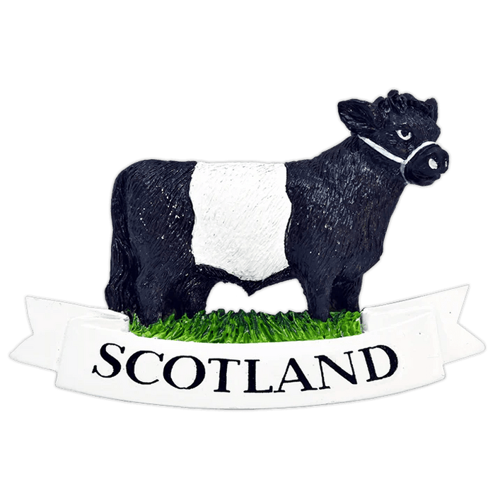 Scottish Polyresin Fridge Magnets – Fun Souvenirs with Iconic Designs - Heritage Of Scotland - Belted Galloway