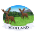 Scottish Polyresin Fridge Magnets – Fun Souvenirs with Iconic Designs - Heritage Of Scotland - Highland Stag Scotland