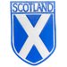 Scottish Polyresin Fridge Magnets – Fun Souvenirs with Iconic Designs - Heritage Of Scotland - Saltire