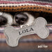 Squeaky Bone Dog Toy Lola - Heritage Of Scotland - LOLA