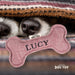 Squeaky Bone Dog Toy Lucy - Heritage Of Scotland - LUCY