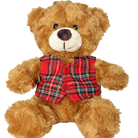 Teddy Bear with Tartan Waistcoat – 18cm Plush Scottish Bear - Heritage Of Scotland - Royal Stewart