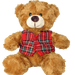 Teddy Bear with Tartan Waistcoat – 18cm Plush Scottish Bear - Heritage Of Scotland - Royal Stewart