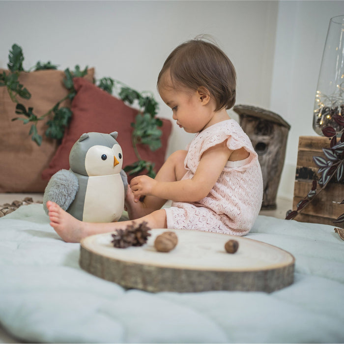 The Musical Animals - Colette The Owl - Heritage Of Scotland - N/A