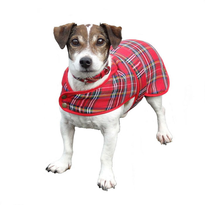 Dog Coat Tartan Bw - Size L Stewart Royal