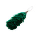 Feather Hackle For Highland Headwear Glengarry Green - Heritage Of Scotland - GREEN