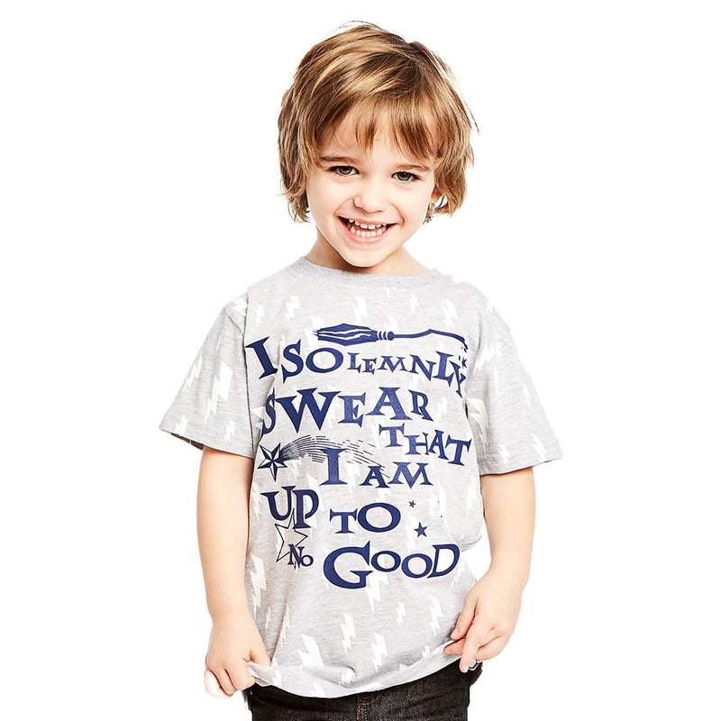 Harry Potter I Solemnly Swear Tee - Heritage Of Scotland - N/A