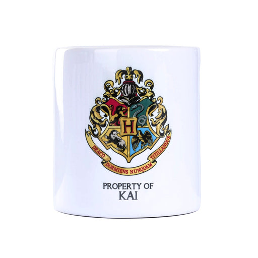 Harry Potter Money Box Kai - Heritage Of Scotland - KAI