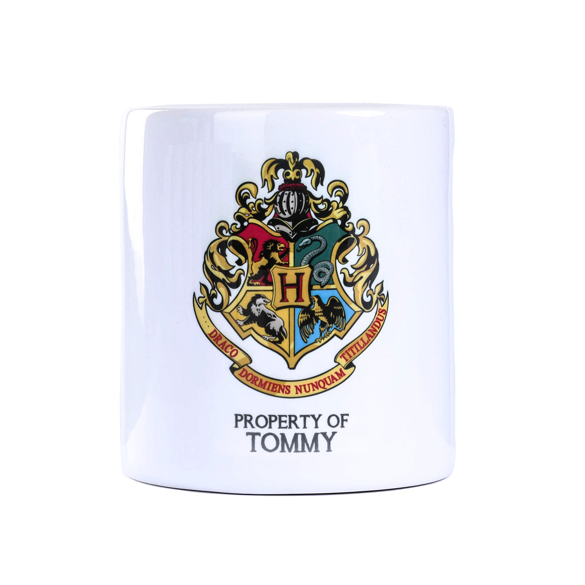 Harry Potter Money Box Tommy Heritage of Scotland — Heritage Of Scotland