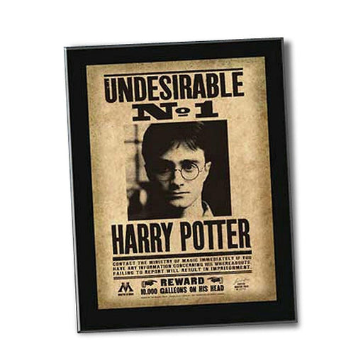 Harry Potter "Undesirable" Plaque - Heritage Of Scotland - NA