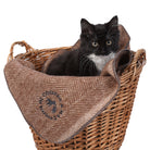 Herringbone Pet Blanket Chestnut Brown - Heritage Of Scotland - CHESTNUT BROWN
