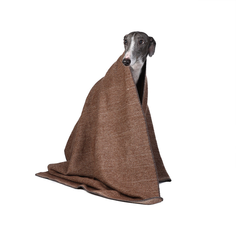 Herringbone Pet Blanket Chestnut Brown - Heritage Of Scotland - CHESTNUT BROWN