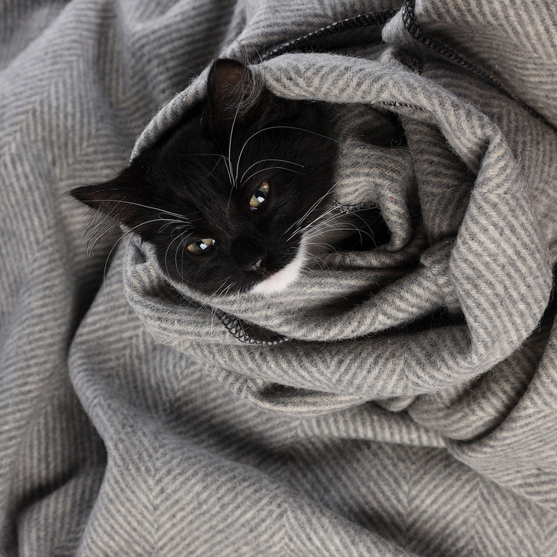 Herringbone Pet Blanket Grey Medium - Heritage Of Scotland - GREY MEDIUM