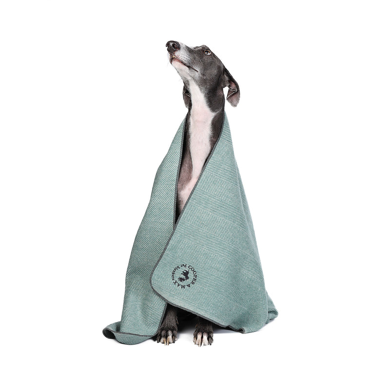 Herringbone Pet Blanket Pistachio - Heritage Of Scotland - PISTACHIO