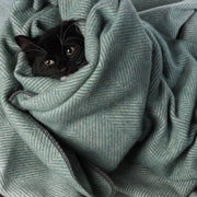 Herringbone Pet Blanket Pistachio - Heritage Of Scotland - PISTACHIO