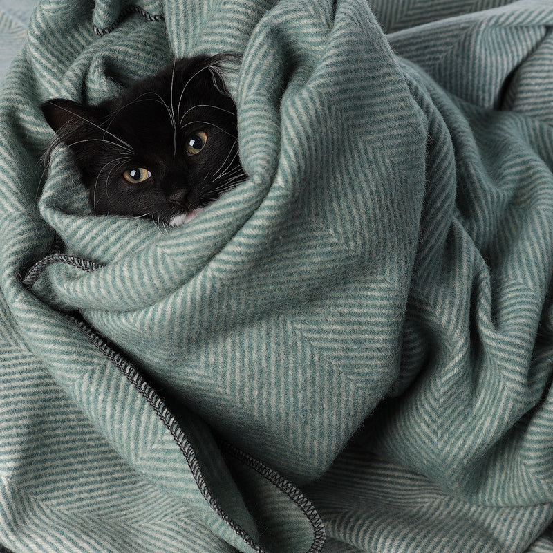 Herringbone Pet Blanket Pistachio - Heritage Of Scotland - PISTACHIO