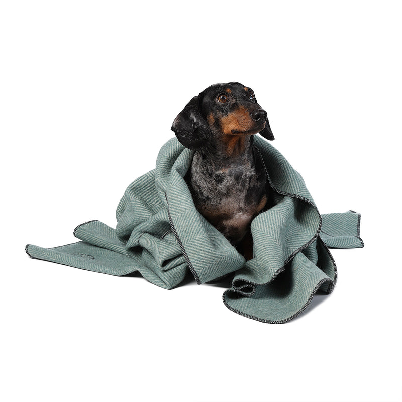 Herringbone Pet Blanket Pistachio - Heritage Of Scotland - PISTACHIO