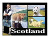 Magnet Mr Kiltie - Heritage Of Scotland - NA