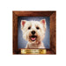 Pet Fridge Magnet Big Westie - Heritage Of Scotland - WESTIE