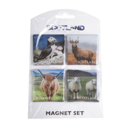 Scottish Animals 4Pk Magnet Set - Heritage Of Scotland - NA