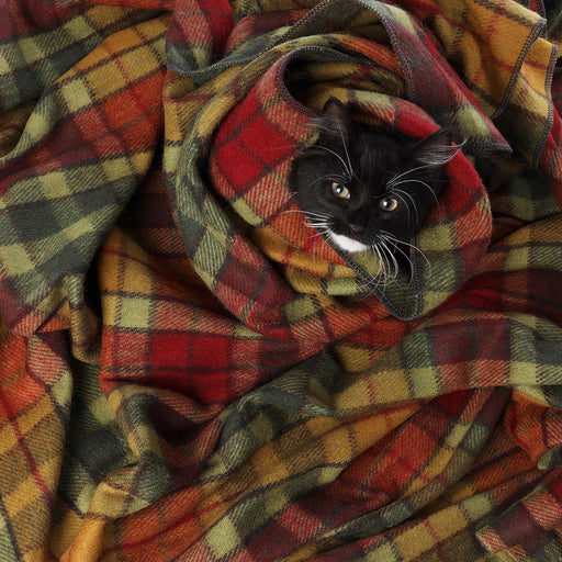 Tartan Pet Blanket Buchanan Autumn - Heritage Of Scotland - BUCHANAN AUTUMN