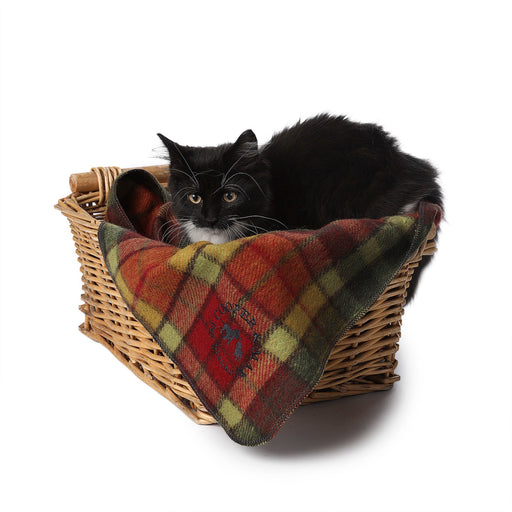 Tartan Pet Blanket Buchanan Autumn - Heritage Of Scotland - BUCHANAN AUTUMN