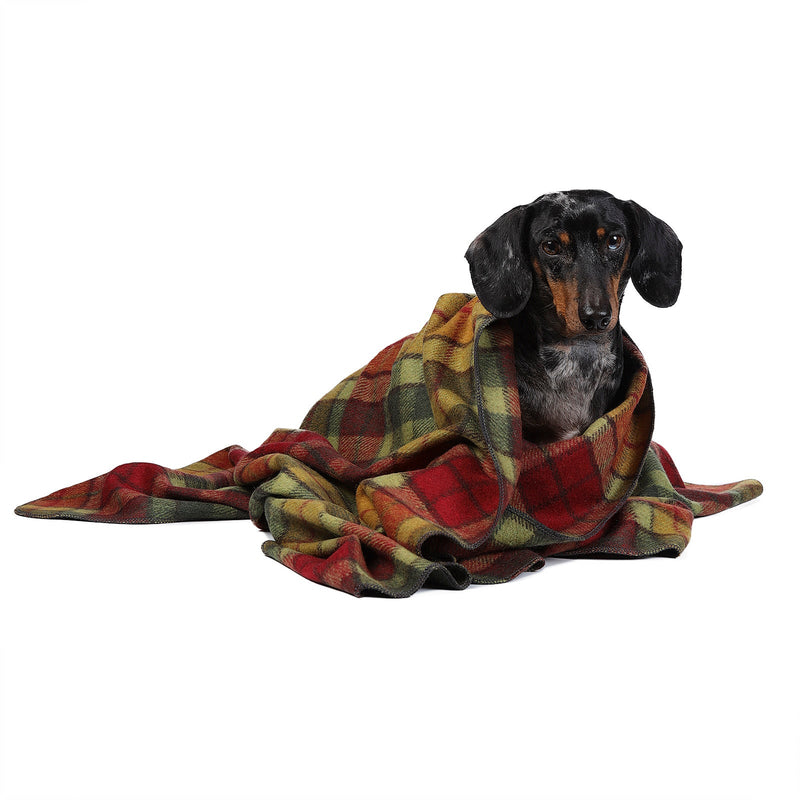 Tartan Pet Blanket Buchanan Autumn - Heritage Of Scotland - BUCHANAN AUTUMN