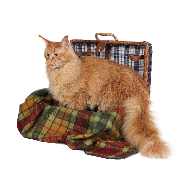 Tartan Pet Blanket Buchanan Autumn - Heritage Of Scotland - BUCHANAN AUTUMN