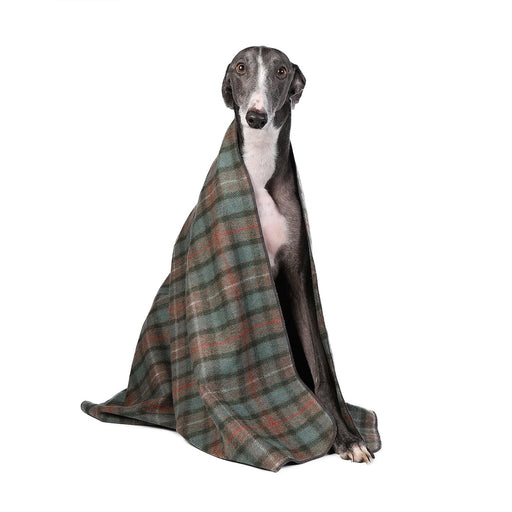 Tartan Pet Blanket Fraser Hunting Weathered - Heritage Of Scotland - FRASER HUNTING WEATHERED