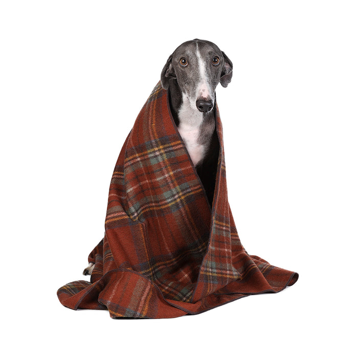 Tartan Pet Blanket Stewart Royal Antique - Heritage Of Scotland - STEWART ROYAL ANTIQUE