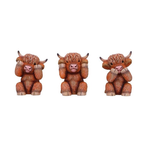 Three Wise Highland Cows 9.6Cm - Heritage Of Scotland - NA